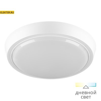 Светодиодный светильник WOLTA DBO01-14-4K 14Вт 4000K IP20 арт DBO01-14-4K DBO01-14-4K - фото 13050