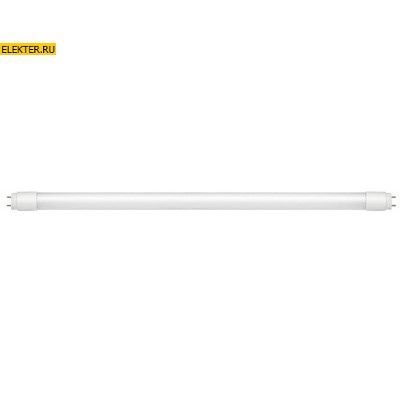 Лампа светодиодная LED-T8R-standard 10Вт 160-260В G13 6500К 800Лм 600мм матовая ASD арт 4690612002613 4690612002613 - фото 18644