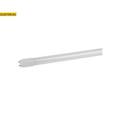 Светодиодная лампочка G13 1200мм 20Вт 4000К дневного света ЭРА LED smd T8-20w-840-G13 1200mm (поворотный цоколь) арт Б0033004 Б0033004 - фото 19910