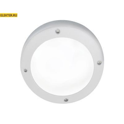 Ecola GX53 LED B4139S Светильник накладной IP65 матовый Круг алюмин. 1xGX53 Белый 145x145x65 арт FW53SSECS FW53SSECS - фото 4717