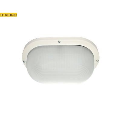 Ecola Light GX53 LED ДПП 03-9-102 Светильник Овал накладной 2xGX53 матовый поликарбонат IP65 белый 280x175x105 арт TL53L2ECR TL53L2ECR - фото 4785