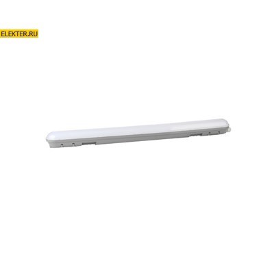 Ecola LED linear IP65 Классический линейный светодиодный светильник (замена ЛПО) 18W 220V 6500K 580x60x65 арт LSCD18ELC LSCD18ELC - фото 4816