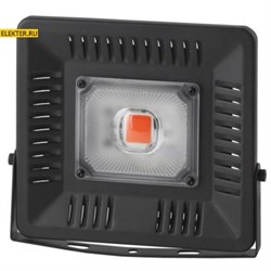 ЭРА Прожектор красно-синего спектра FITO-50W-LED BLUERED арт Б0039033 Б0039033