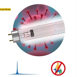 Бактерицидная ультрафиолетовая лампа UV-С ДБ 15 Т8 G13 ЭРА арт Б0048972 Б0048972