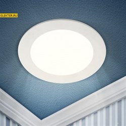 Б0049554 LED 1-24-4K /1 Светильник круглый 24Вт 4000К светодиодный ЭРА Б0049554