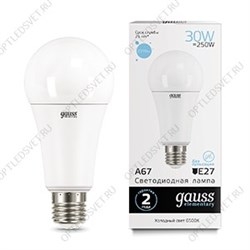 Лампа светодиодная LED-30Вт E27 6500K Elementary A67 Gauss