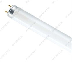 Лампа линейная люминесцентная ЛЛ 58вт L 58/640 G13 белая Osram (Смоленск)