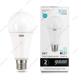 Лампа светодиодная LED-30Вт E27 4100K Elementary A67 Gauss