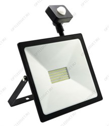 Светодиодный (LED) прожектор FL Sensor Smartbuy SBL-FLSen-50-65K