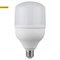 Светодиодная лампочка Е27 30Вт 6500К "Колокол" ЭРА холодный свет  LED POWER 30W-6500-E27 арт Б0027004 Б0027004 - фото 20004